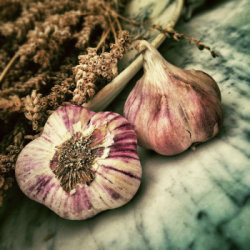 ohne Knoblauch