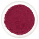 Rote Bete-Pulver